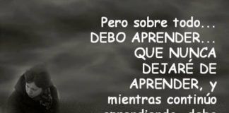 La nueva ecología del aprendizaje