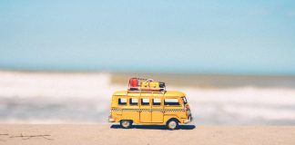 El verano, tiempo para crecer.